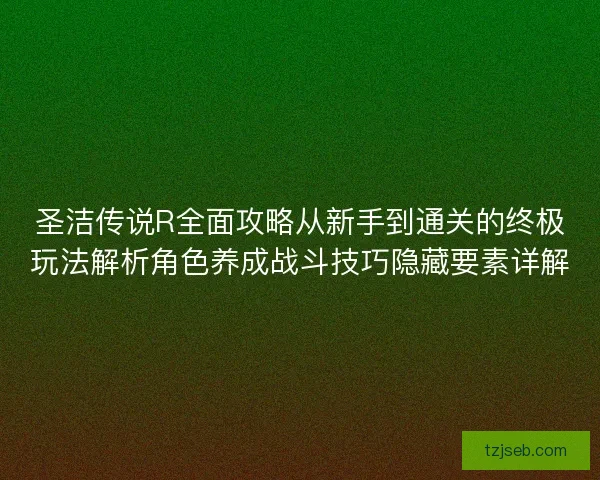 圣洁传说R全面攻略从新手到通关的终极玩法解析角色养成战斗技巧隐藏要素详解