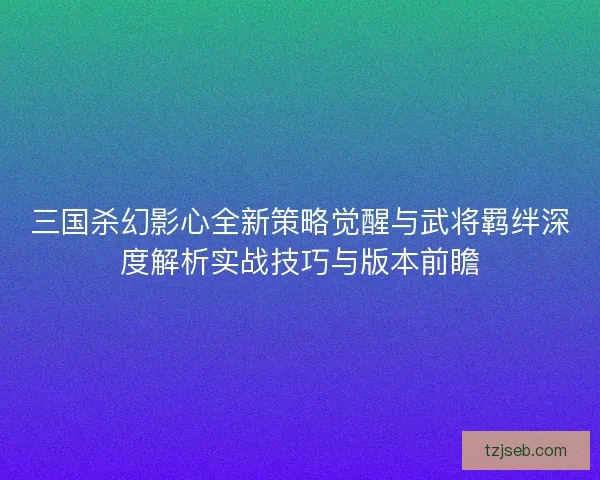 三国杀幻影心全新策略觉醒与武将羁绊深度解析实战技巧与版本前瞻