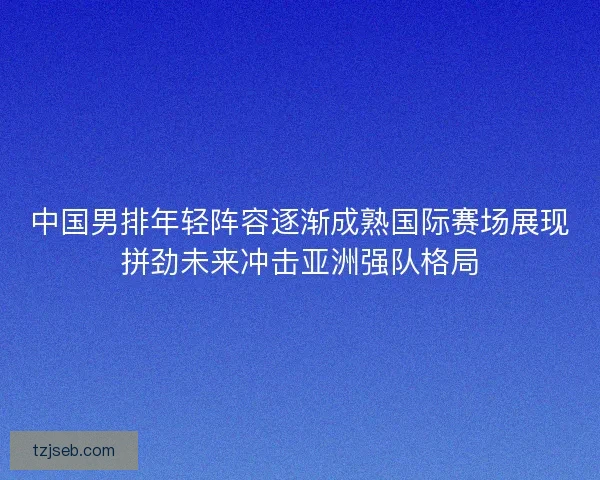 中国男排年轻阵容逐渐成熟国际赛场展现拼劲未来冲击亚洲强队格局